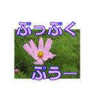 街中の植物（個別スタンプ：37）