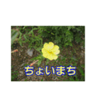 街中の植物（個別スタンプ：40）