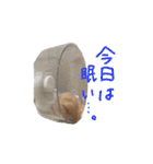 ハムスターふじまるとすももスタンプ（個別スタンプ：10）