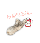 ぽったーだおん 2（個別スタンプ：3）