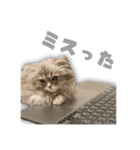 ぽったーだおん 2（個別スタンプ：11）