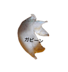 ミン子（個別スタンプ：3）