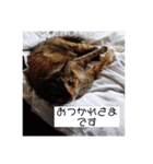 おつかれ三兄弟（個別スタンプ：2）