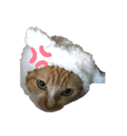 山田家のねこ（個別スタンプ：8）