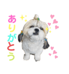 コスプレシーズーマックン（個別スタンプ：6）