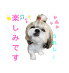 コスプレシーズーマックン（個別スタンプ：20）