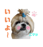 コスプレシーズーマックン（個別スタンプ：22）