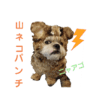 コスプレシーズーマックン（個別スタンプ：32）