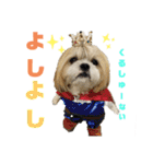 コスプレシーズーマックン（個別スタンプ：37）
