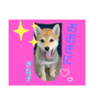 きな子はん、関西弁デビュースタンプ♪（個別スタンプ：2）
