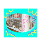 きな子はん、関西弁デビュースタンプ♪（個別スタンプ：4）