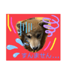 きな子はん、関西弁デビュースタンプ♪（個別スタンプ：5）