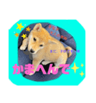 きな子はん、関西弁デビュースタンプ♪（個別スタンプ：8）