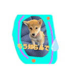 きな子はん、関西弁デビュースタンプ♪（個別スタンプ：13）