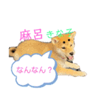 きな子はん、関西弁デビュースタンプ♪（個別スタンプ：14）