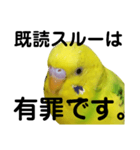 既読にうるさいんこPart2（個別スタンプ：1）