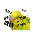 既読にうるさいんこPart2（個別スタンプ：5）