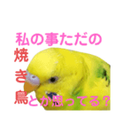 既読にうるさいんこPart2（個別スタンプ：7）