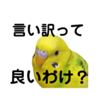 既読にうるさいんこPart2（個別スタンプ：9）