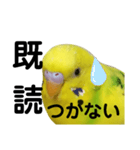 既読にうるさいんこPart2（個別スタンプ：13）