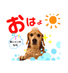 ビッケ♡スタンプ（個別スタンプ：12）