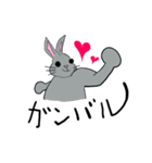 うさぎさんルーティーン（個別スタンプ：5）