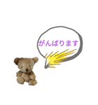 人形くまちゃん 敬語（個別スタンプ：7）