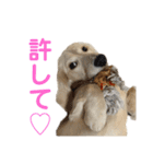 関西弁混じりのほくほくのイッヌ（個別スタンプ：22）