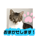 じゅぴた3（個別スタンプ：10）