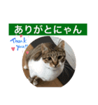 じゅぴた3（個別スタンプ：15）