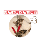 じゅぴた3（個別スタンプ：18）
