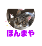 じゅぴた3（個別スタンプ：21）