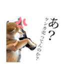 愛想の悪いぽんたろー。（個別スタンプ：6）