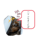 愛想の悪いぽんたろー。（個別スタンプ：18）