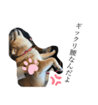愛想の悪いぽんたろー。（個別スタンプ：26）