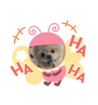 やんちゃなポメラニアンJIN❣️（個別スタンプ：12）