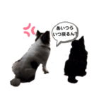 ガンコとアラコ❤️part2（個別スタンプ：5）