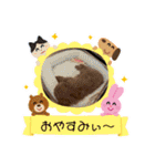ウチのアモ君（個別スタンプ：3）