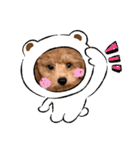 ウチのアモ君（個別スタンプ：7）