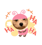 ウチのアモ君（個別スタンプ：9）