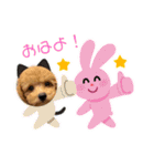 ウチのアモ君（個別スタンプ：22）