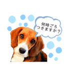 愛するルーシー1（個別スタンプ：6）