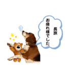 愛するルーシー1（個別スタンプ：10）