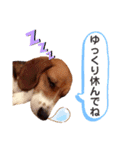 愛するルーシー1（個別スタンプ：13）