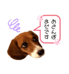 愛するルーシー1（個別スタンプ：15）