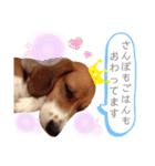 愛するルーシー1（個別スタンプ：16）