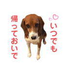 愛するルーシー1（個別スタンプ：22）