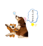 愛するルーシー1（個別スタンプ：24）