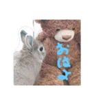 可愛いポター（個別スタンプ：2）