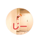 くまをたちのすたんぷ（個別スタンプ：4）